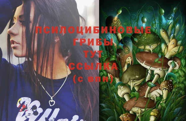 ПСИЛОЦИБИНОВЫЕ ГРИБЫ Бородино