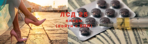ПСИЛОЦИБИНОВЫЕ ГРИБЫ Бородино