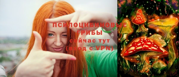 ПСИЛОЦИБИНОВЫЕ ГРИБЫ Бородино