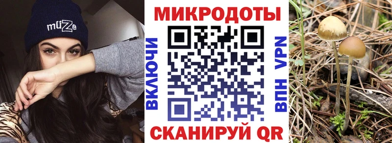 ОМГ ОМГ как зайти  Ленинградская  Галлюциногенные грибы GOLDEN TEACHER 